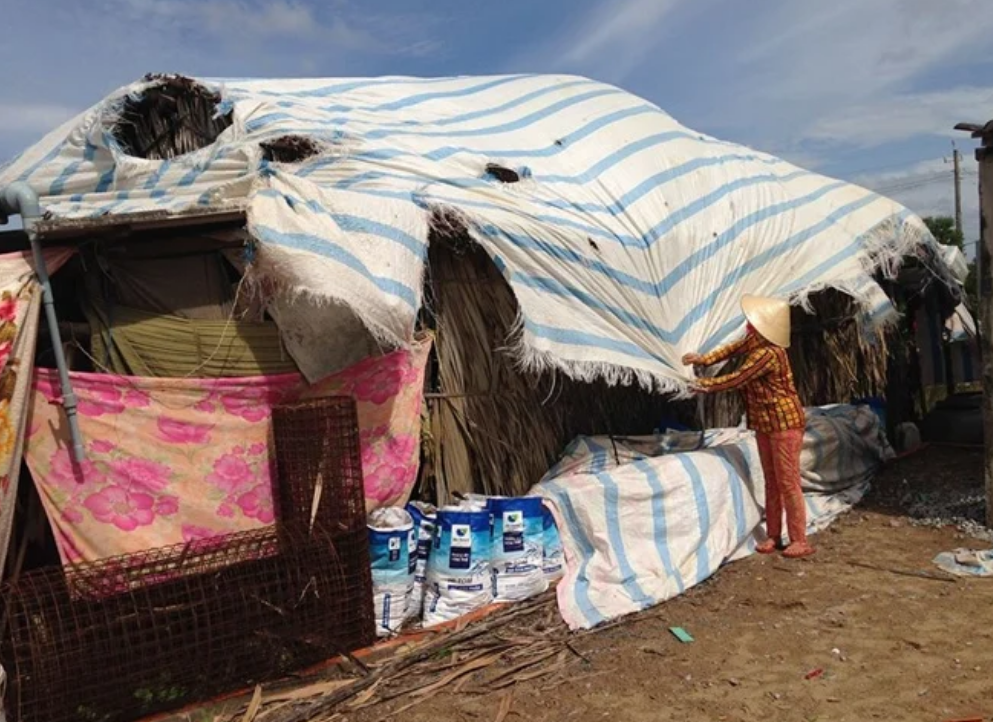 Ng&agrave;y bố mẹ t&ocirc;i dọn ra ở tạm g&oacute;c vườn, chồng cười nhạt n&oacute;i một c&acirc;u m&agrave; t&ocirc;i kh&ocirc;ng qu&ecirc;n được- Ảnh 1.