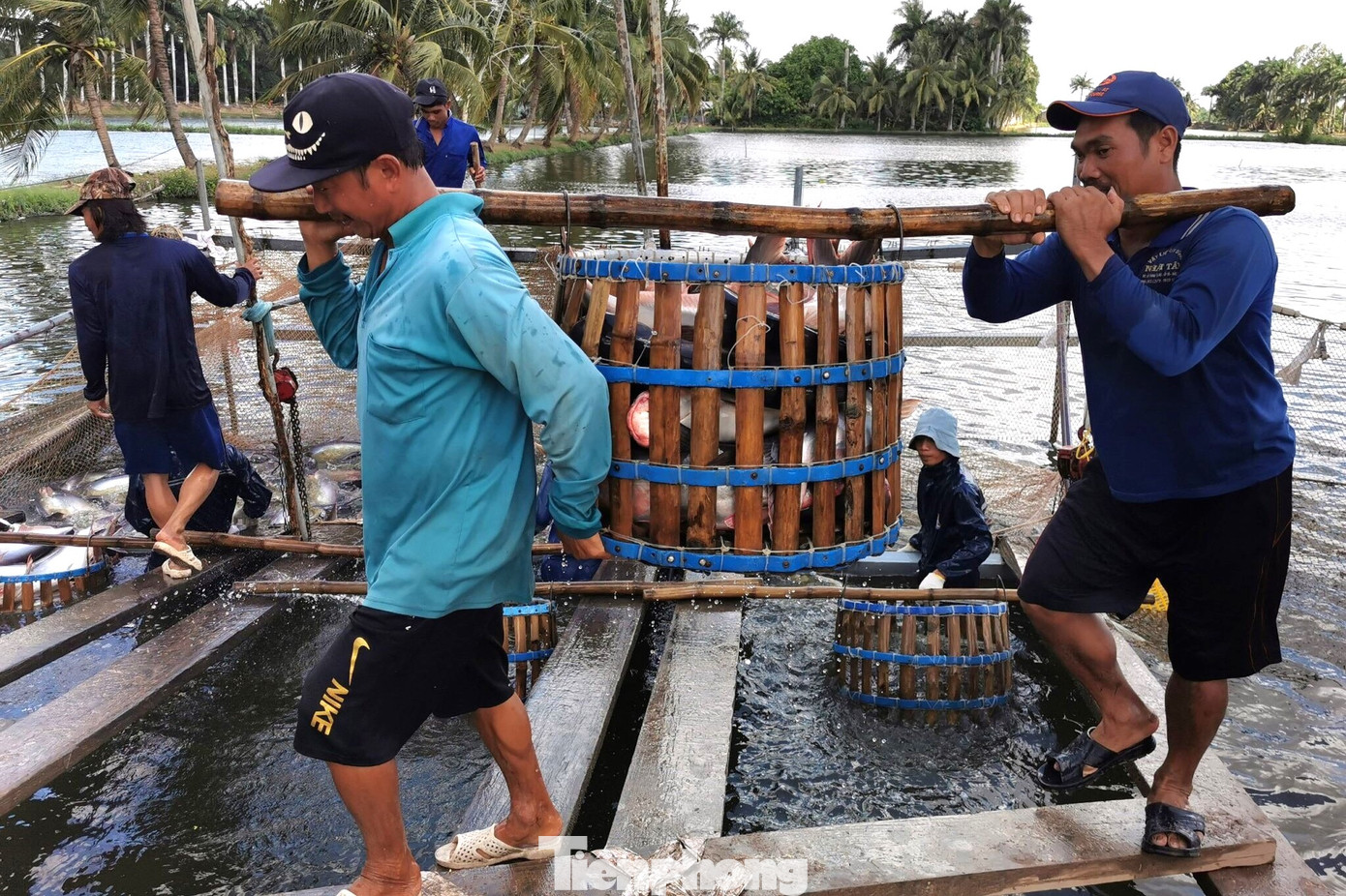 Nh&agrave; h&agrave;ng sushi trong nh&oacute;m &lsquo;kh&oacute; t&iacute;nh&rsquo; nhất thế giới d&ugrave;ng c&aacute; tra Việt Nam - Ảnh 1.