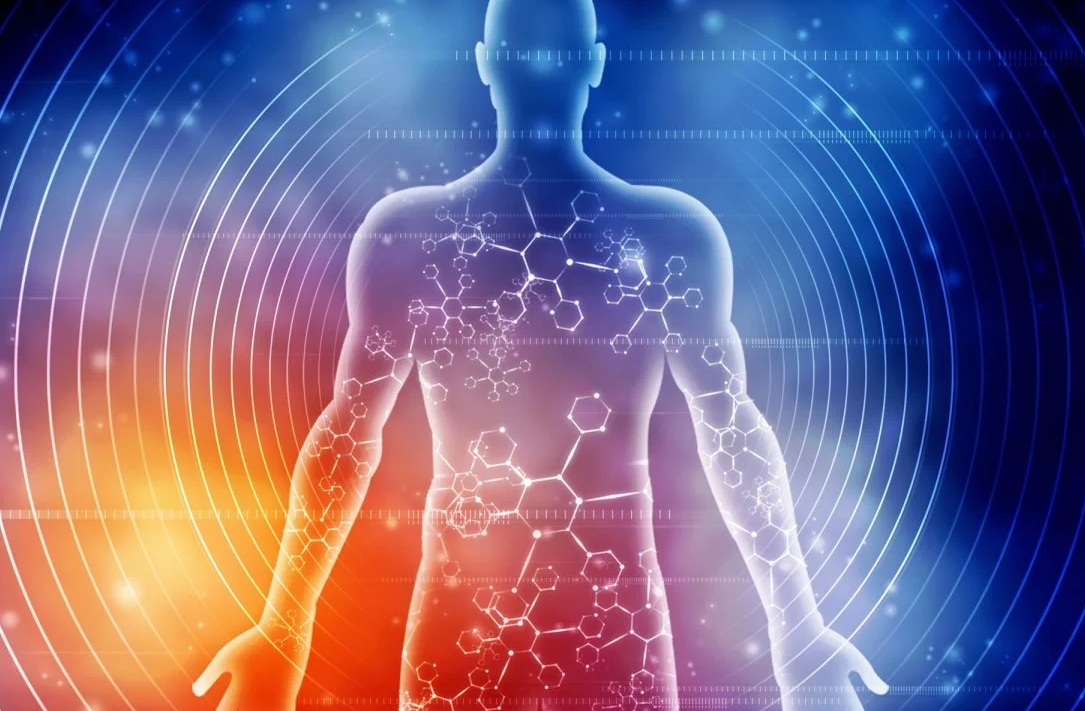 Tập thể dục đúng cách, một phần cơ thể có thể "hồi xuân" - Ảnh 1.