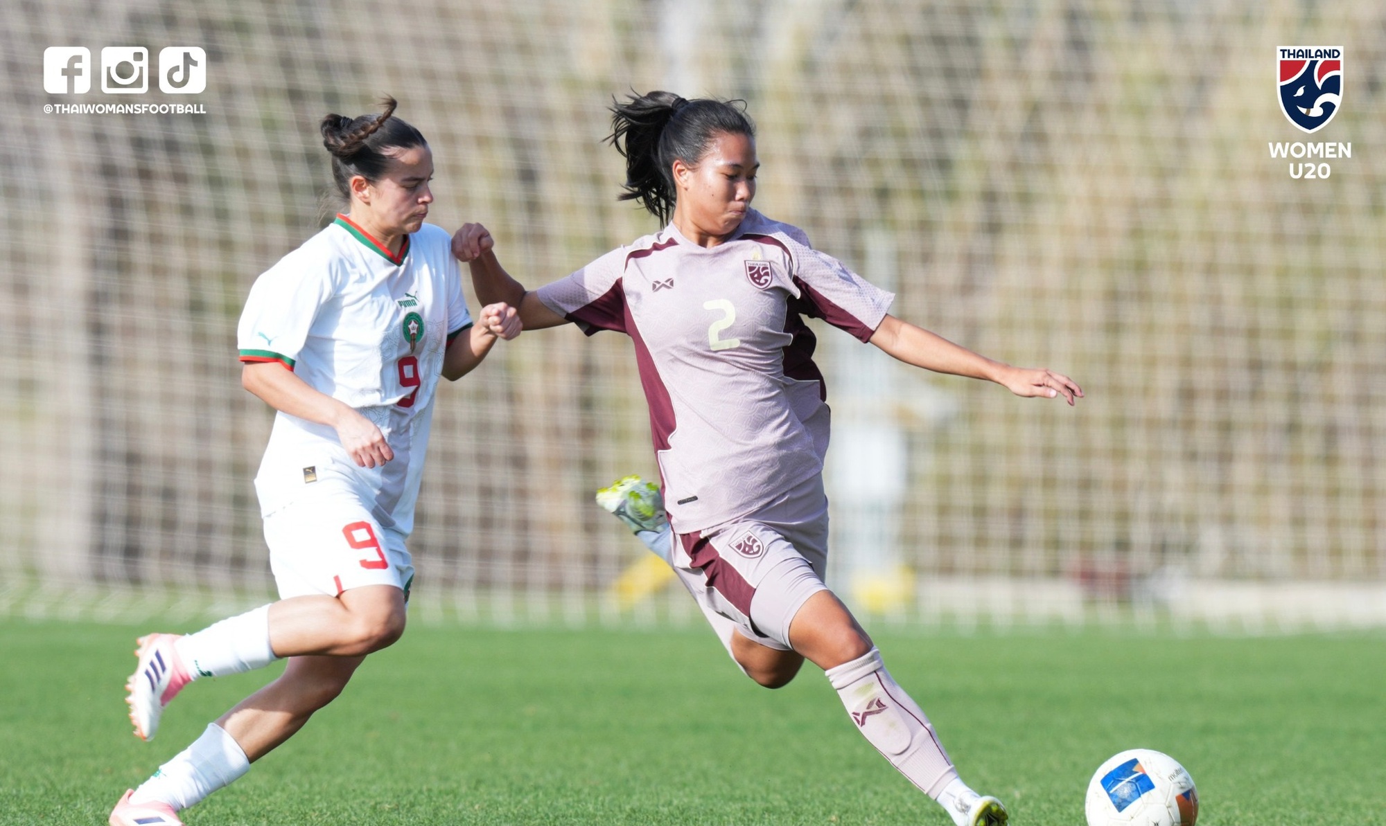 - Ảnh 1. - Ảnh 1.