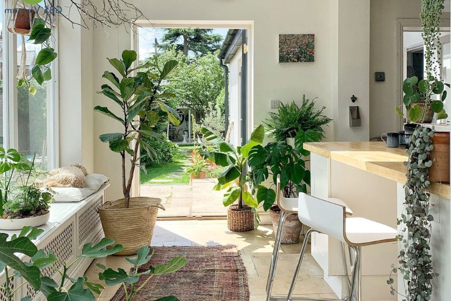 6 dấu hiệu trong nh&agrave; cho biết vận may đến g&otilde; cửa bạn - Ảnh 1.