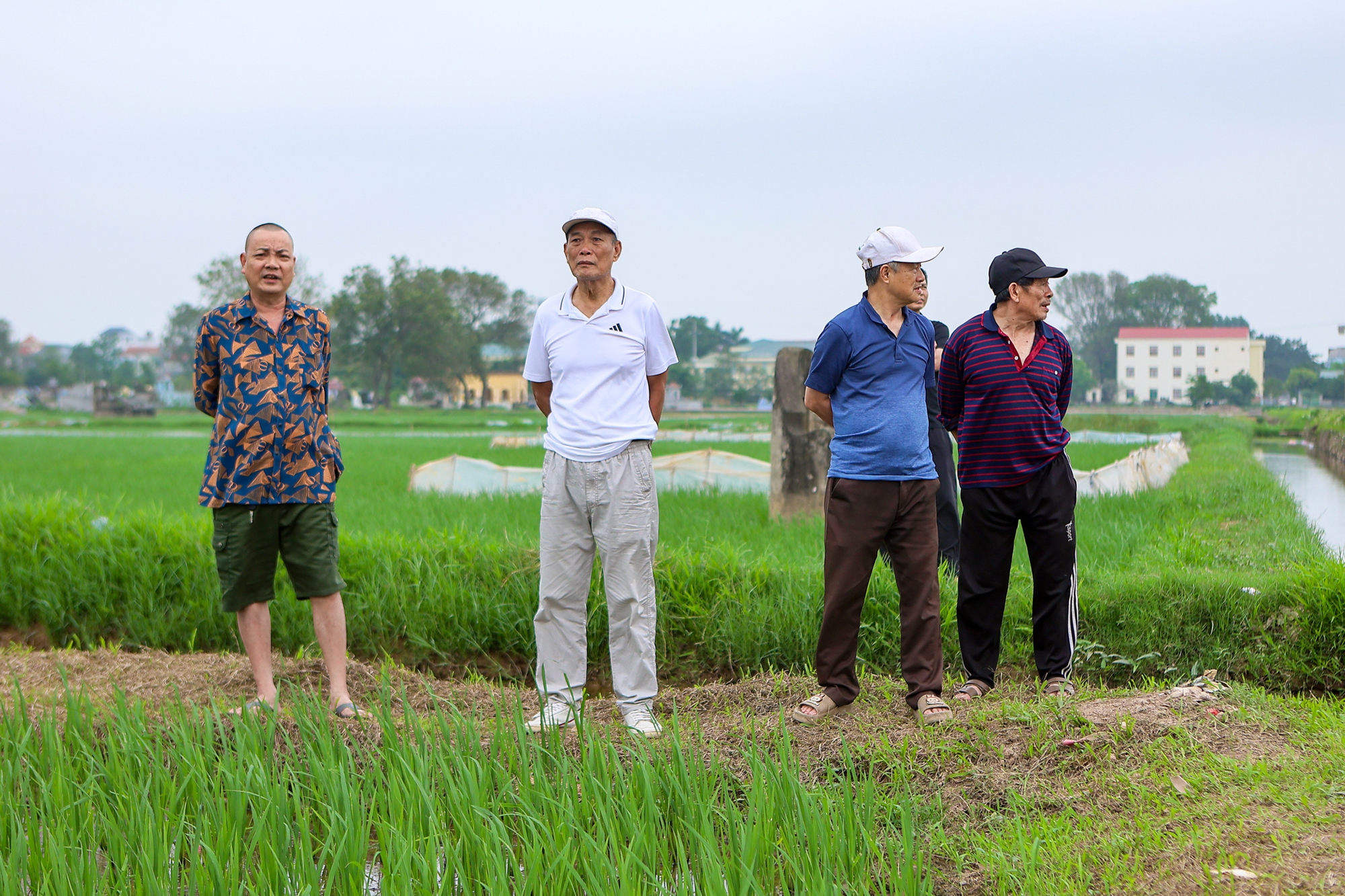 Đại công trường xây sân vận động lớn nhất thế giới: Ô tô nối đuôi nhau như đàn kiến, cần cẩu phủ kín đường chân trời - Ảnh 12.
