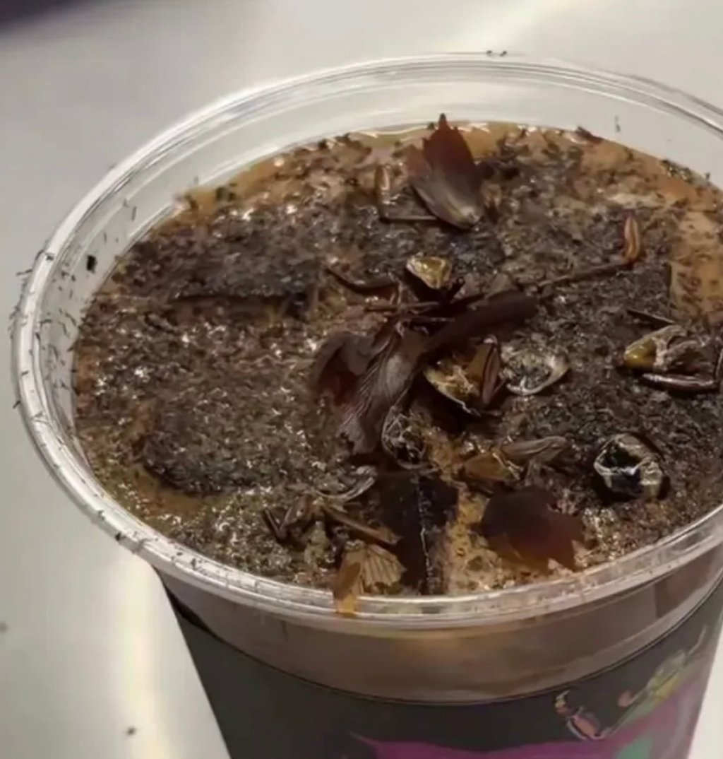 Qu&aacute;n c&agrave; ph&ecirc; Trung Quốc g&acirc;y sốc với Americano trứng luộc nước tiểu trẻ em v&agrave; tranh c&atilde;i dữ dội tr&ecirc;n mạng x&atilde; hội - Ảnh 3.