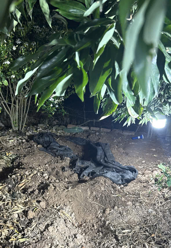 Bắt nghi phạm sát hại bà lão 87 tuổi , chôn xác tại vườn chuối ở Hải Phòng - Ảnh 2. Bắt nghi phạm sát hại bà lão 87 tuổi , chôn xác tại vườn chuối ở Hải Phòng - Ảnh 2.