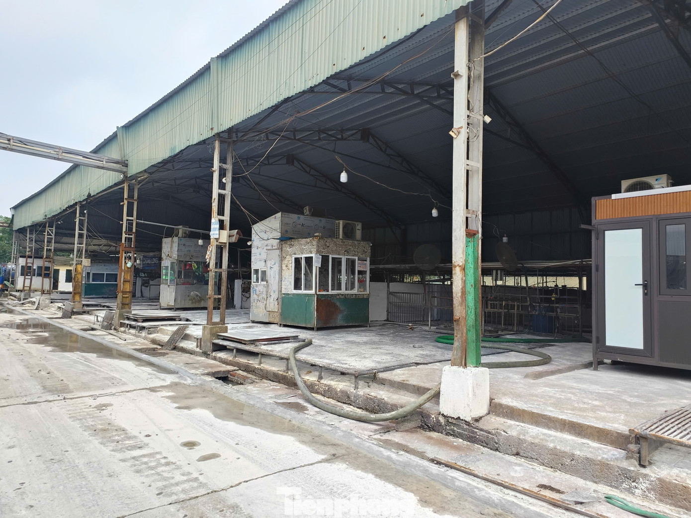 L&ograve; mổ lợn bệnh ở H&agrave; Nội bị ph&aacute;t hiện ti&ecirc;u thụ gần 300 tấn thịt kh&ocirc;ng an to&agrave;n - Ảnh 8.