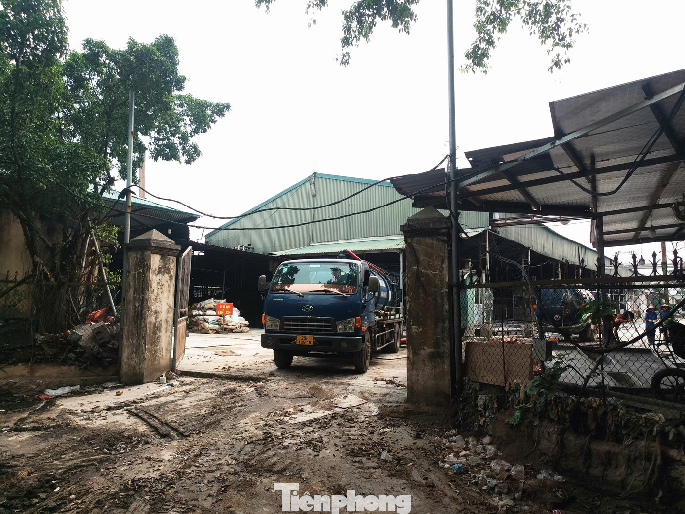 L&ograve; mổ lợn bệnh ở H&agrave; Nội bị ph&aacute;t hiện ti&ecirc;u thụ gần 300 tấn thịt kh&ocirc;ng an to&agrave;n - Ảnh 3.