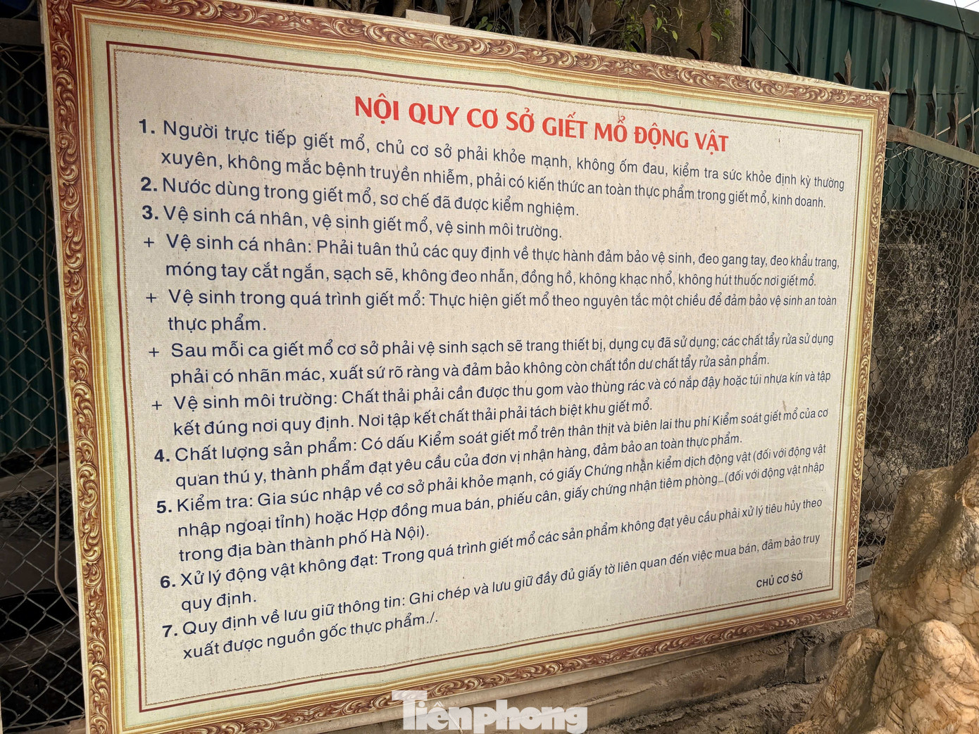 L&ograve; mổ lợn bệnh ở H&agrave; Nội bị ph&aacute;t hiện ti&ecirc;u thụ gần 300 tấn thịt kh&ocirc;ng an to&agrave;n - Ảnh 5.
