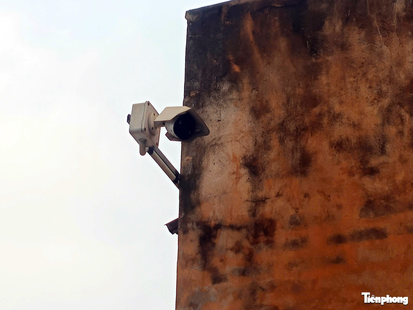 C&ocirc;ng ty thực phẩm Cường Ph&aacute;t bị khởi tố v&igrave; cung cấp thịt lợn nhiễm dịch tả lợn Ch&acirc;u Phi - Ảnh 3.