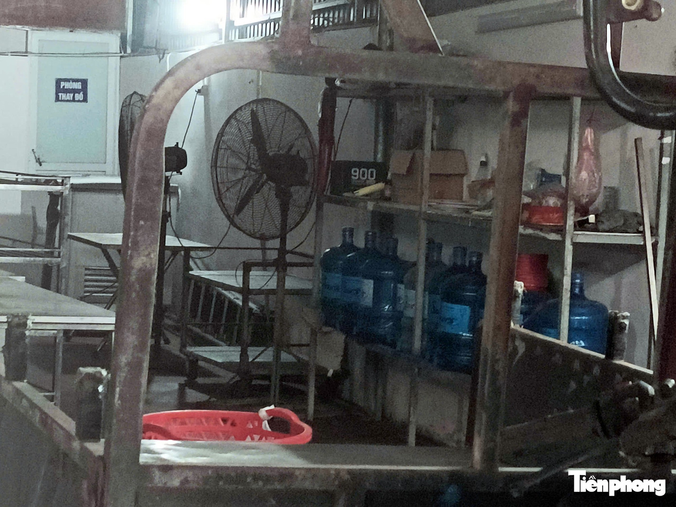 C&ocirc;ng ty thực phẩm Cường Ph&aacute;t bị khởi tố v&igrave; cung cấp thịt lợn nhiễm dịch tả lợn Ch&acirc;u Phi - Ảnh 7.