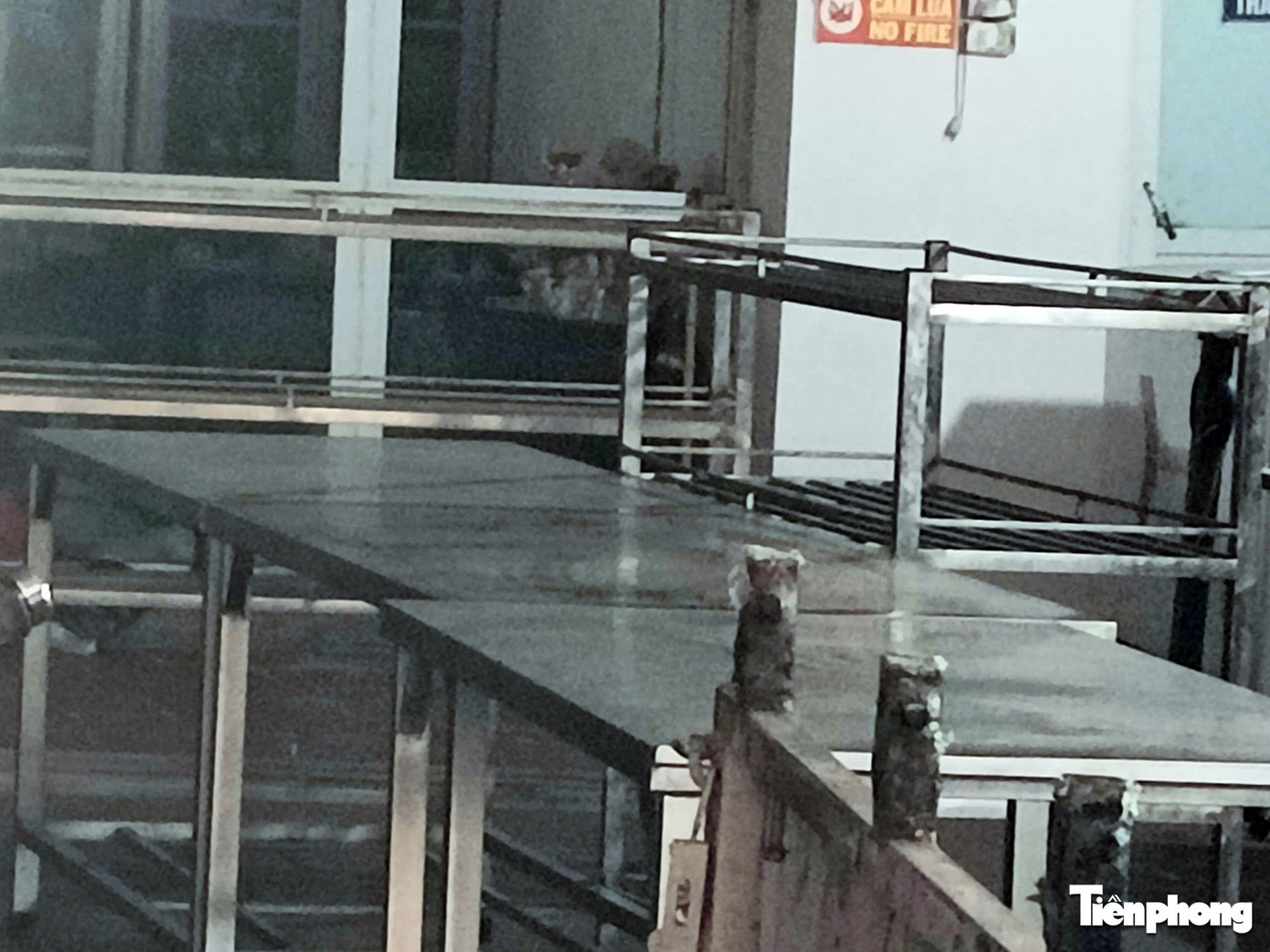 C&ocirc;ng ty thực phẩm Cường Ph&aacute;t bị khởi tố v&igrave; cung cấp thịt lợn nhiễm dịch tả lợn Ch&acirc;u Phi - Ảnh 8.