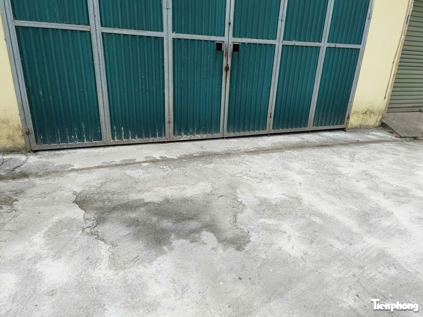 C&ocirc;ng ty thực phẩm Cường Ph&aacute;t bị khởi tố v&igrave; cung cấp thịt lợn nhiễm dịch tả lợn Ch&acirc;u Phi - Ảnh 12.