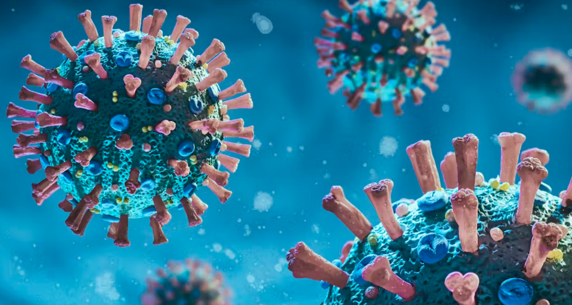 - Ảnh 1. - Ảnh 1.