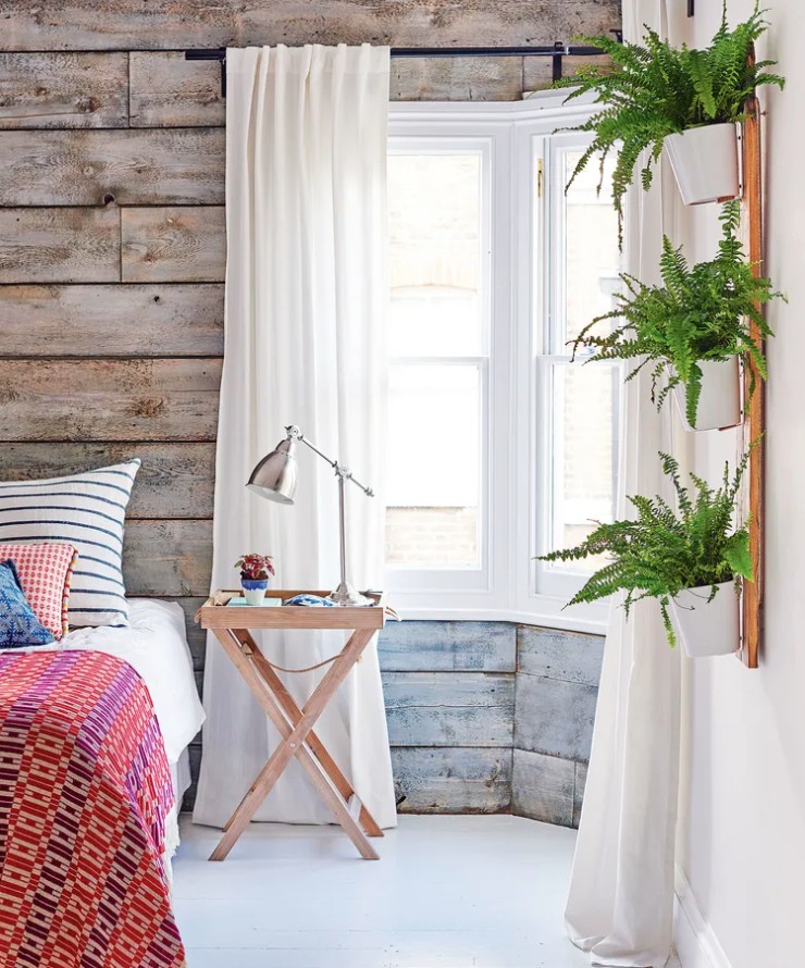 5 loại c&acirc;y cảnh kh&ocirc;ng n&ecirc;n mua kẻo ph&iacute; tiền, ph&iacute; sức - Ảnh 5.