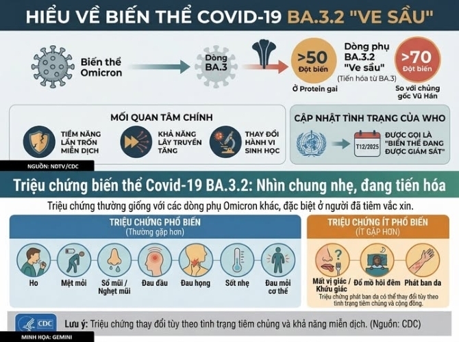 Biến thể 'Ve sầu' của COVID-19 khác gì so với chủng cũ? 19 covid 19 bien the ve sau 11103532 1774943958518 1774943961062981073086