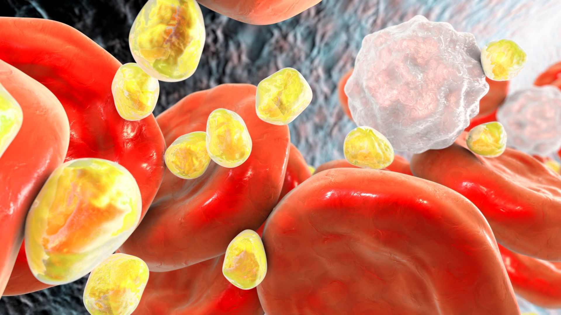 d1rjxb 1775000116685 17750001169271390210336