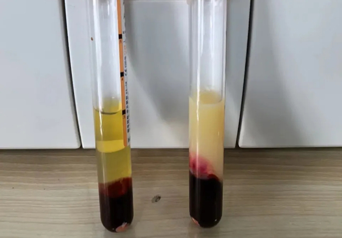 d2nsnz 1775000115569 17750001161571941250720