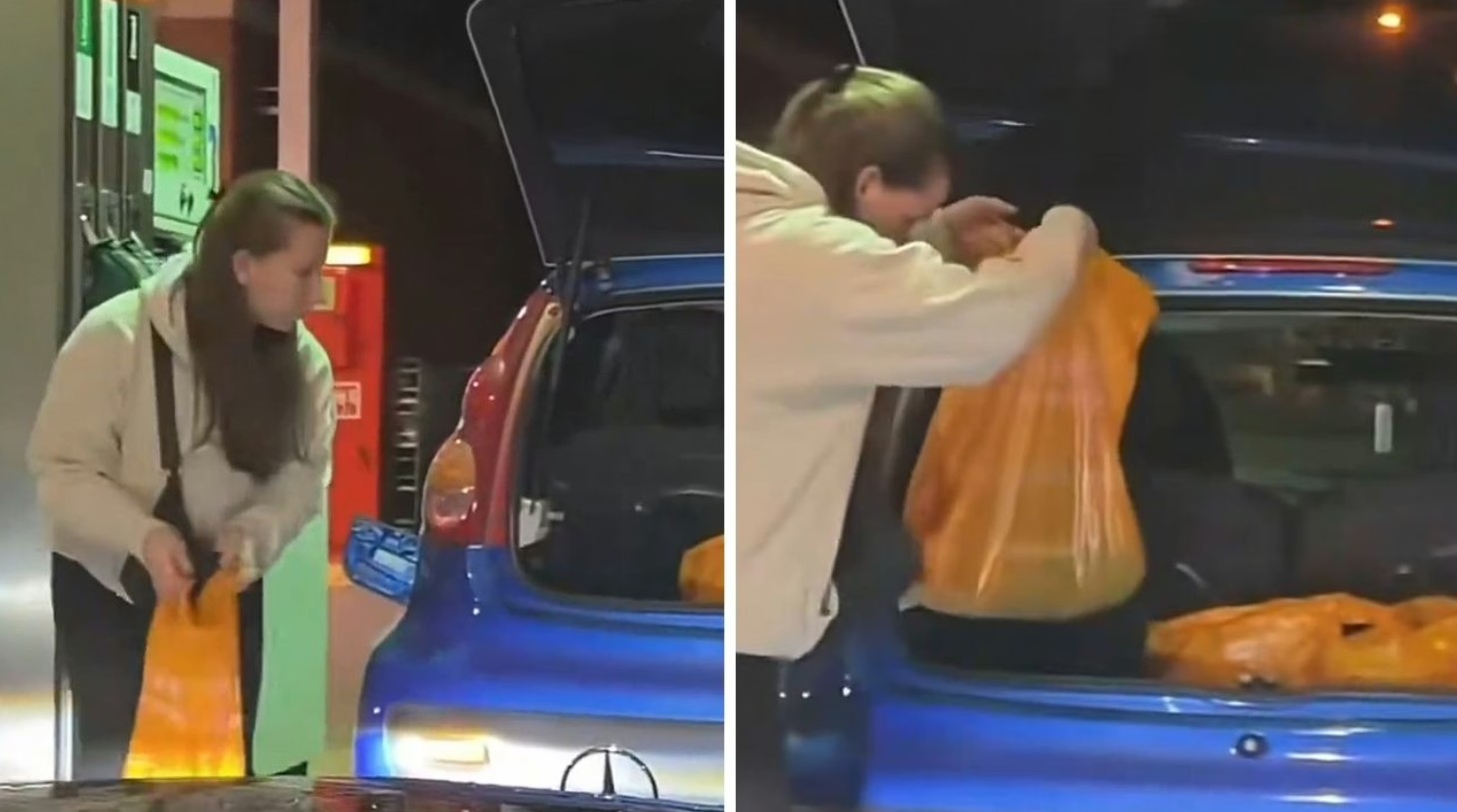 - Ảnh 1. - Ảnh 1.