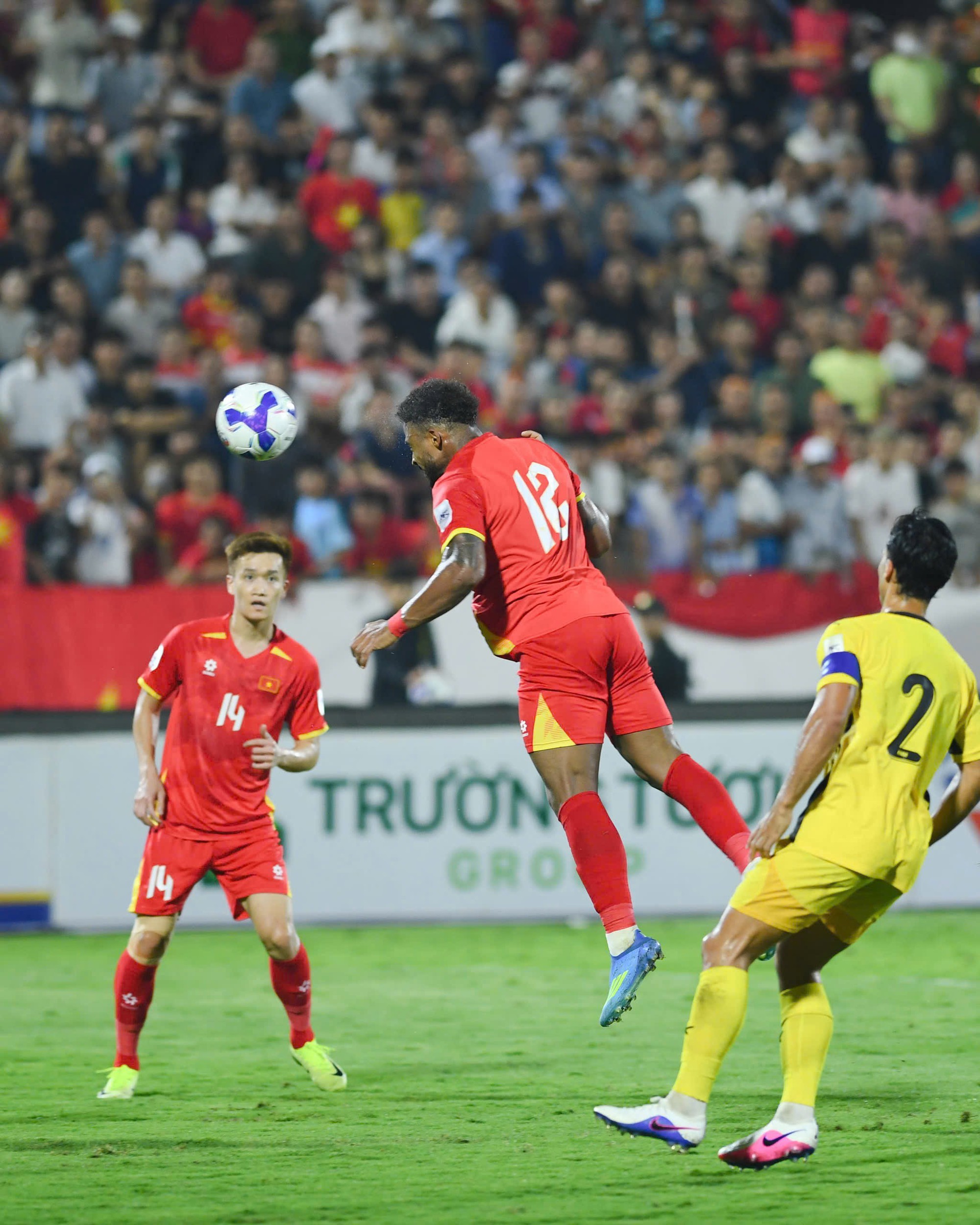 - Ảnh 2. - Ảnh 2.