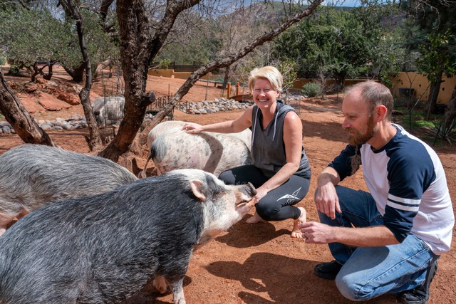 C&uacute; lừa thế kỷ: C&oacute; lẽ kh&ocirc;ng c&oacute; kh&aacute;i niệm gọi l&agrave; "lợn mini" v&agrave; những người nu&ocirc;i nhận ra điều n&agrave;y qu&aacute; trễ- Ảnh 6.