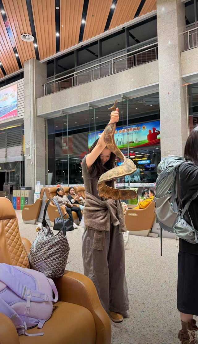 Cô gái thản nhiên quấn "con rắn" khổng lồ quanh người lên máy bay, hành khách xôn xao khi biết đó là gì - Ảnh 4.