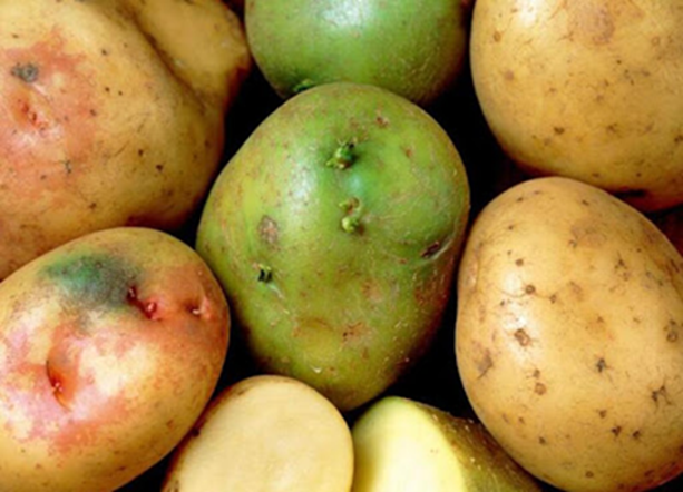 2 vợ chồng c&ugrave;ng l&uacute;c ph&aacute;t hiện ung thư gan, b&aacute;c sĩ lắc đầu: 4 thực phẩm để l&acirc;u trong tủ lạnh sẽ "nu&ocirc;i tế b&agrave;o ung thư" - Ảnh 4.