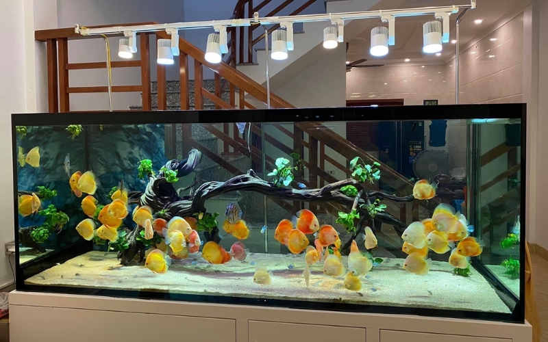 9/10 nh&agrave; kh&aacute; giả trang tr&iacute; ph&ograve;ng kh&aacute;ch với vật phẩm mang vượng kh&iacute; - Ảnh 2.