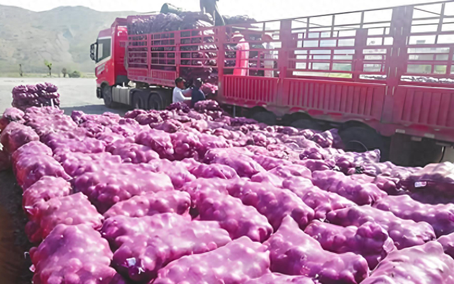 Tranh chấp vận chuyển h&agrave;ng h&oacute;a: Hệ lụy từ quyết định sai lầm - Ảnh 2.