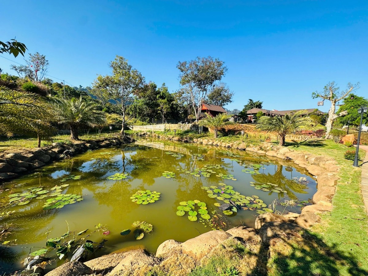 - Ảnh 3. - Ảnh 3.