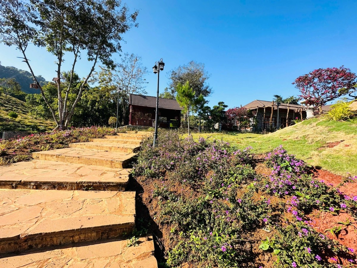 - Ảnh 5. - Ảnh 5.