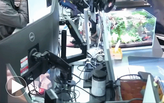 Ch&acirc;n dung &ocirc;ng tr&ugrave;m hệ thống X&ocirc;i Lạc TV doanh thu h&agrave;ng trăm tỷ, kh&aacute;m x&eacute;t khẩn cấp c&ocirc;ng an thu giữ g&igrave;? - Ảnh 4.