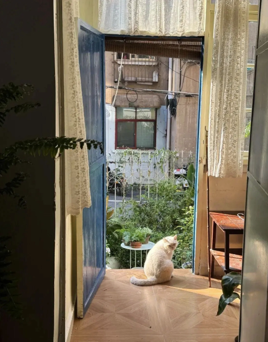 Cuộc sống b&igrave;nh y&ecirc;n của cụ b&agrave; 73 tuổi giữa ng&ocirc;i nh&agrave; cũ ở qu&ecirc; - Ảnh 2.