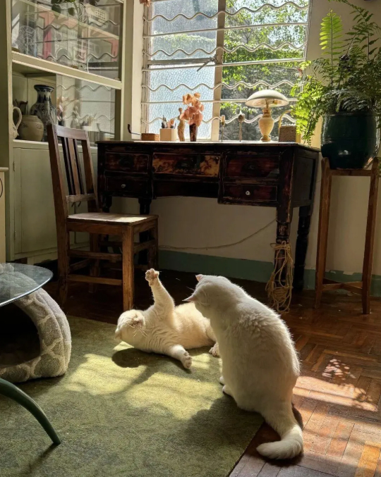 Cuộc sống b&igrave;nh y&ecirc;n của cụ b&agrave; 73 tuổi giữa ng&ocirc;i nh&agrave; cũ ở qu&ecirc; - Ảnh 5.