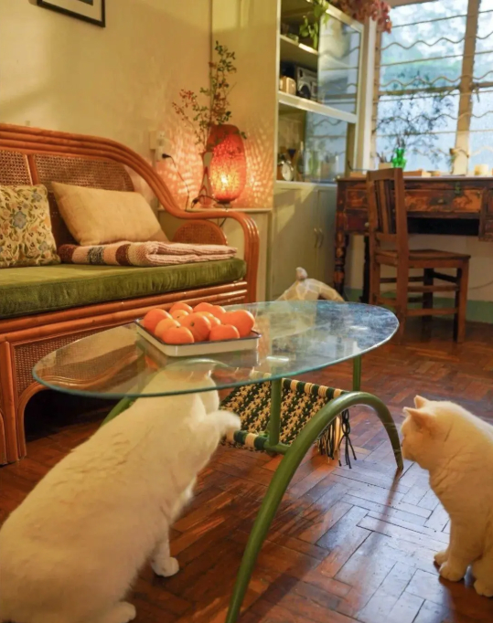 Cuộc sống b&igrave;nh y&ecirc;n của cụ b&agrave; 73 tuổi giữa ng&ocirc;i nh&agrave; cũ ở qu&ecirc; - Ảnh 9.