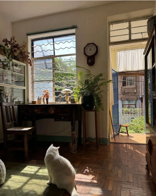 Cuộc sống b&igrave;nh y&ecirc;n của cụ b&agrave; 73 tuổi giữa ng&ocirc;i nh&agrave; cũ ở qu&ecirc; - Ảnh 10.