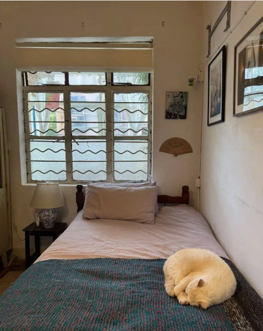 Cuộc sống b&igrave;nh y&ecirc;n của cụ b&agrave; 73 tuổi giữa ng&ocirc;i nh&agrave; cũ ở qu&ecirc; - Ảnh 12.