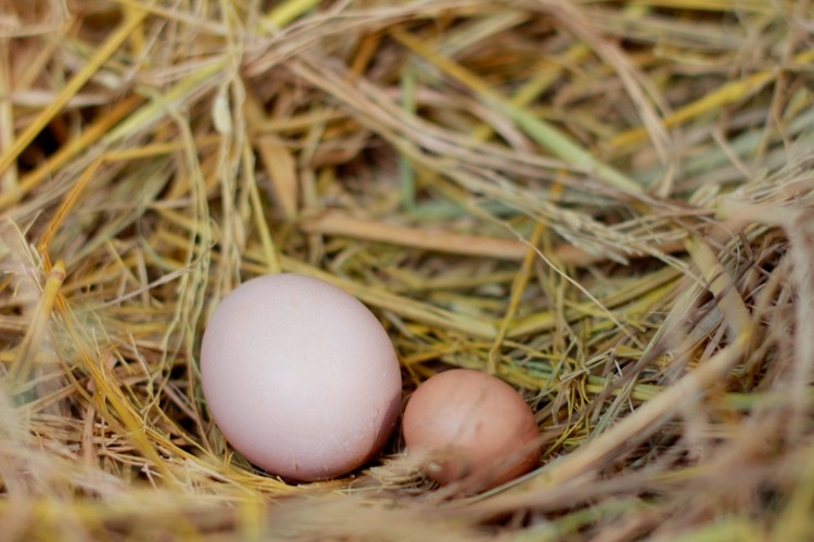 75355002 mg98213 151945 1772797506450 17727975068461760511428