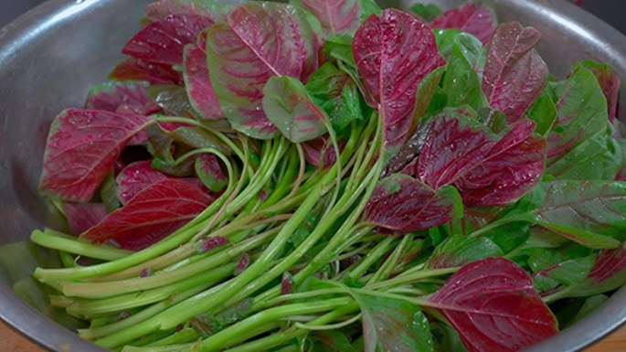 10 loại rau củ ho&agrave;n to&agrave;n KH&Ocirc;NG cần phun thuốc trừ s&acirc;u v&igrave; qu&aacute; &iacute;t bị s&acirc;u bọ, mua ngo&agrave;i chợ cũng an t&acirc;m hơn- Ảnh 1.