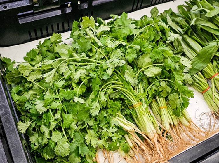 10 loại rau củ ho&agrave;n to&agrave;n KH&Ocirc;NG cần phun thuốc trừ s&acirc;u v&igrave; qu&aacute; &iacute;t bị s&acirc;u bọ, mua ngo&agrave;i chợ cũng an t&acirc;m hơn- Ảnh 3.