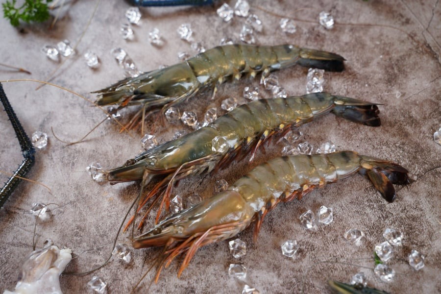 Cao thủ ẩm thực chỉ c&aacute;ch chọn t&ocirc;m tươi: Chỉ cần nh&igrave;n m&agrave;u v&agrave; đu&ocirc;i l&agrave; biết- Ảnh 3.