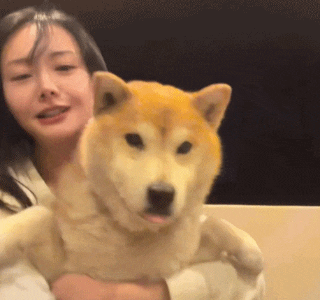 Kh&oacute; tin nổi đ&acirc;y l&agrave; Trịnh Sảng sau khi &ldquo;dao k&eacute;o&rdquo; to&agrave;n bộ gương mặt - Ảnh 3.