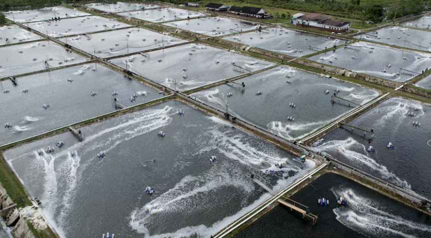 Kh&ocirc;ng phải đất hiếm, Việt Nam vừa đ&oacute;n tin vui trăm triệu USD từ 3 &ocirc;ng lớn c&ocirc;ng nghệ của thế giới - Ảnh 1.