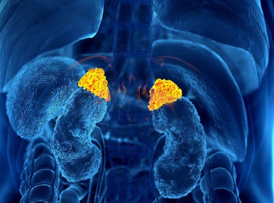 Thuong Than 1773051493201 1773051493659367679953