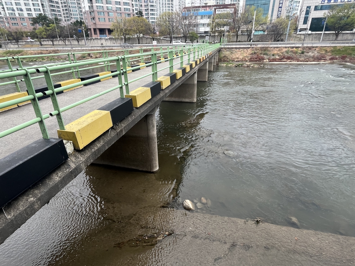 Vụ án vali chứa thi thể gây rúng động: Bắt giữ con gái và con rể - Ảnh 1.