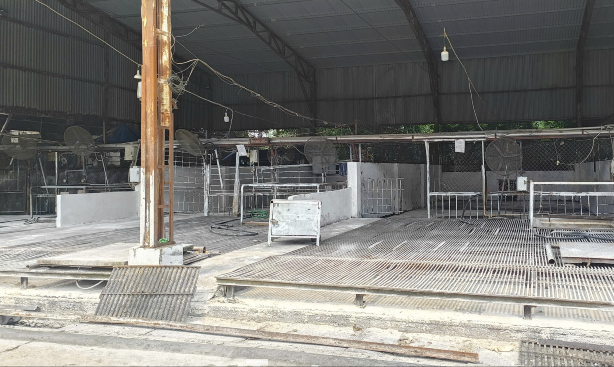 C&aacute;n bộ kiểm dịch th&uacute; y Lạm dụng chức vụ , ti&ecirc;u thụ heo bệnh tại H&agrave; Nội - Ảnh 2.