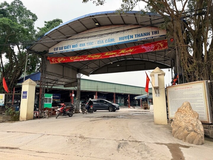 Vụ 300 tấn lợn bệnh v&agrave;o trường học: Ph&aacute;p luật v&agrave; sự thật kiểm dịch bị lợi dụng - Ảnh 1.