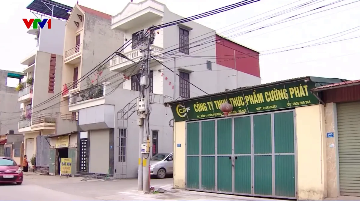 Vụ gần 300 tấn thịt lợn bệnh v&agrave;o trường học: Lỗ hổng trong gi&aacute;m s&aacute;t, kiểm dịch - Ảnh 1.