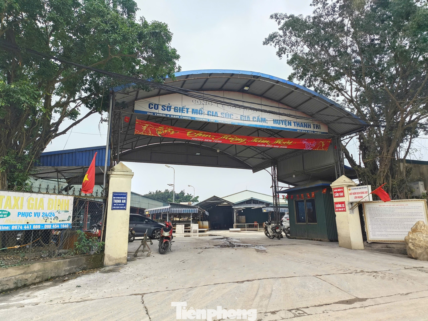 Vụ ti&ecirc;u thụ lợn bệnh ở H&agrave; Nội: Điều tra Vi phạm an to&agrave;n thực phẩm 2026 - Ảnh 1.