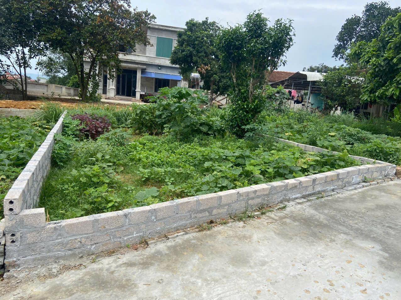 "Nh&agrave; chồng cho đất nhưng kh&ocirc;ng cho t&ocirc;i đứng t&ecirc;n d&ugrave; t&ocirc;i bỏ tiền x&acirc;y nh&agrave;": 2 chiến lược kh&ocirc;n ngoan phụ nữ th&ocirc;ng minh sẽ biết - Ảnh 1.