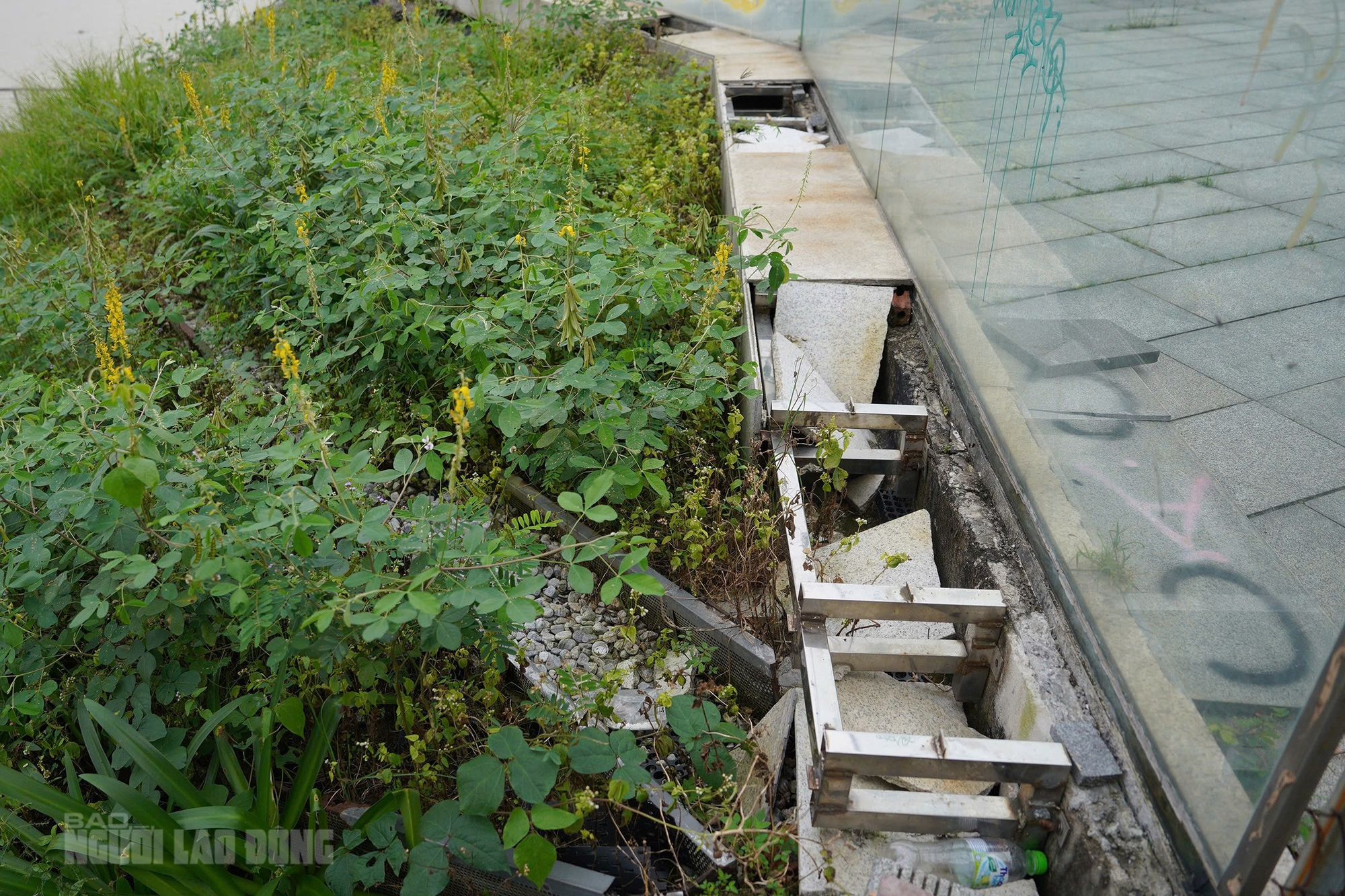 Cận cảnh bến du thuyền trăm tỉ b&ecirc;n s&ocirc;ng H&agrave;n - Ảnh 9.