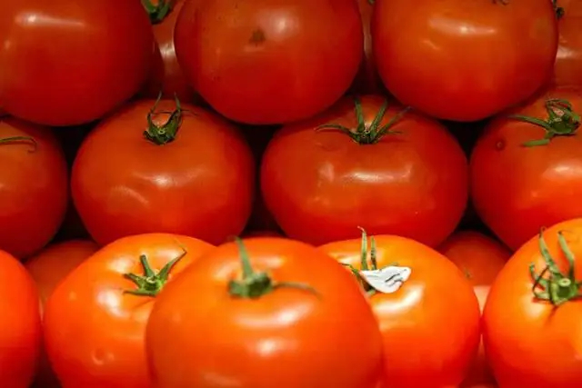 khong co tieu de 104116 1775864066183 17758640666191024879713